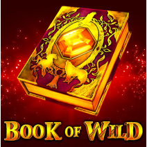 Book of Wild