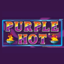 Purple Hot