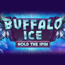 The Buffalo Ice: Hold The Spin